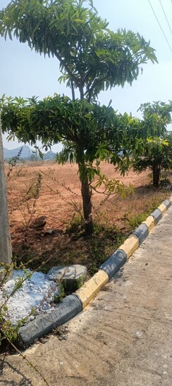 Plot For Sale in Fortune Butterfly City