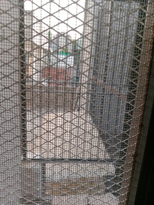 Bathroom in 2 BHK Builder Floor at Sector 18 – for Rent