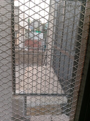 Bathroom in 2 BHK Builder Floor at Sector 18 – for Rent