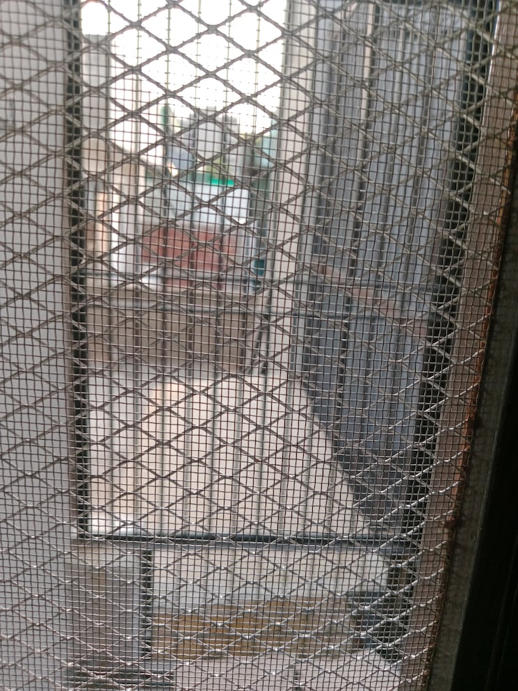 Bathroom, sector 18 2 Bedroom 815 Sq.Ft. Builder Floor In Sector 18 Panipat 9646623