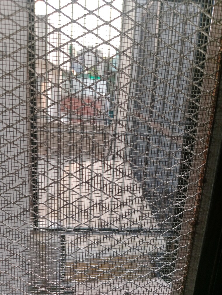 Bathroom, sector 18 2 Bedroom 815 Sq.Ft. Builder Floor In Sector 18 Panipat 9646623