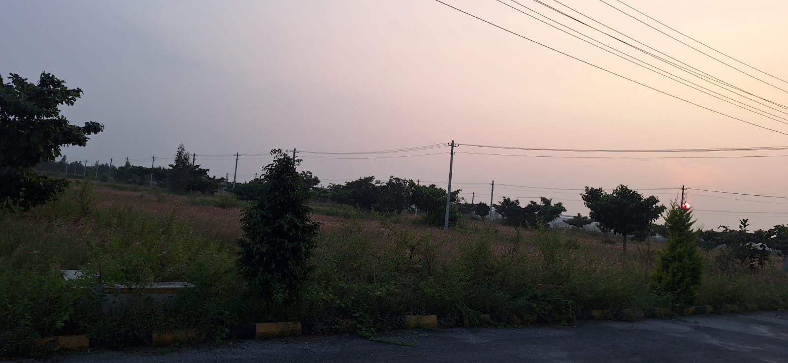 Plot For Sale in Hoskote