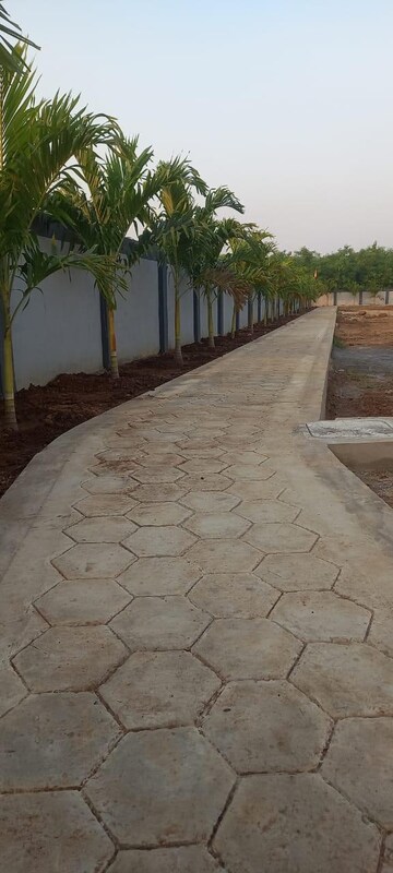  Plot – Exterior View View at Vuyyuru - for Sale