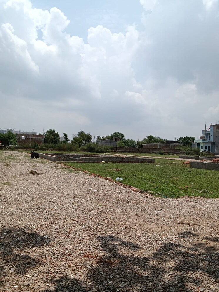 undefined, sector 23  100 Sq.Yd. Plot In Sector 23 Noida 9647718