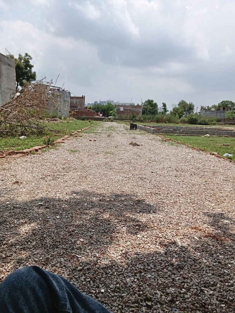 undefined, sector 23  100 Sq.Yd. Plot In Sector 23 Noida 9647718