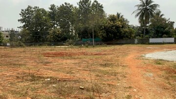  Plot For Sale in Pipali Highway