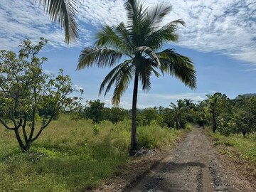  Land For Sale in Jewel Gardens Panvel, New Panvel