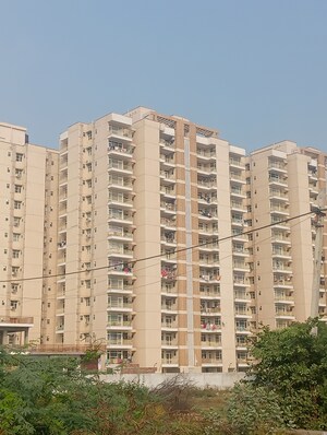 3 BHK Apartment For Rent in Terra Lavinium, Sector 75