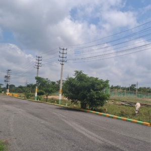 Plot Area in  Plot at Sathnur – for Sale