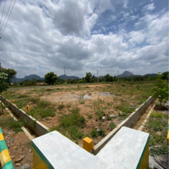 Plot For Sale in Chethu Properties