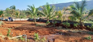  Plot – Garden View at Sector 150 - for Sale