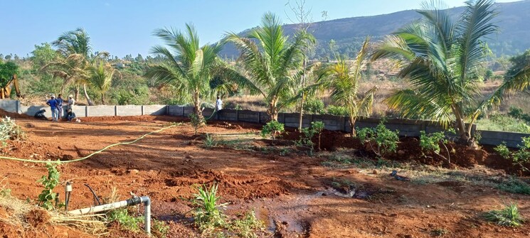 Garden, sector 150  1800 Sq.Ft. Plot In Sector 150 Noida 9648687