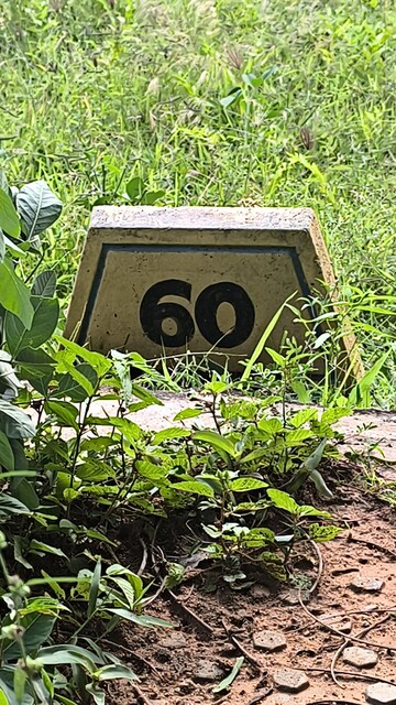  Plot – Exterior View View at Nakshatra Township, Chandapura - for Sale