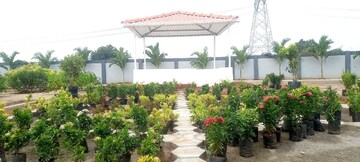  Plot – Exterior View View at Vuyyuru - for Sale