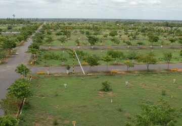 Plot Area in  Plot at Gannavaram – for Sale