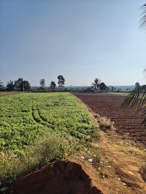 Plot Area in  Plot at Devanahalli – for Sale