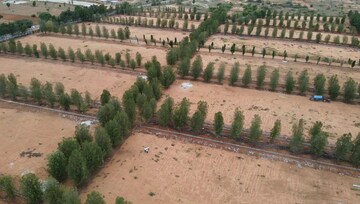  Plot For Sale in Gauribidanur