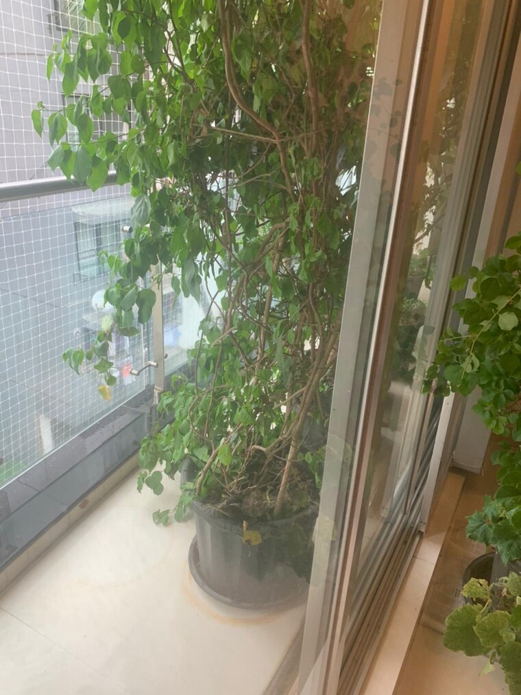 Balcony, khar west 3 Bedroom 1350 Sq.Ft. Apartment In Khar West Mumbai 9650110