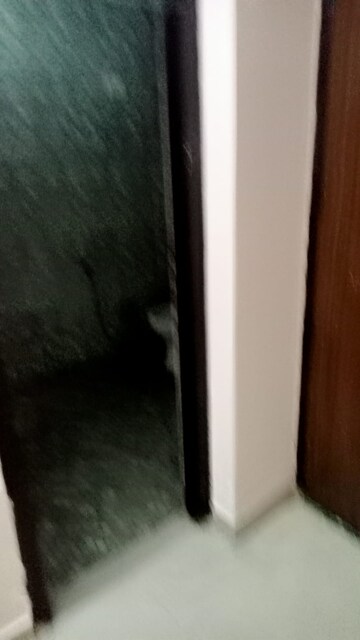 Furnished Amenities in 2 BHK Builder Floor at Saya Villa, Indrapuram – for Rent