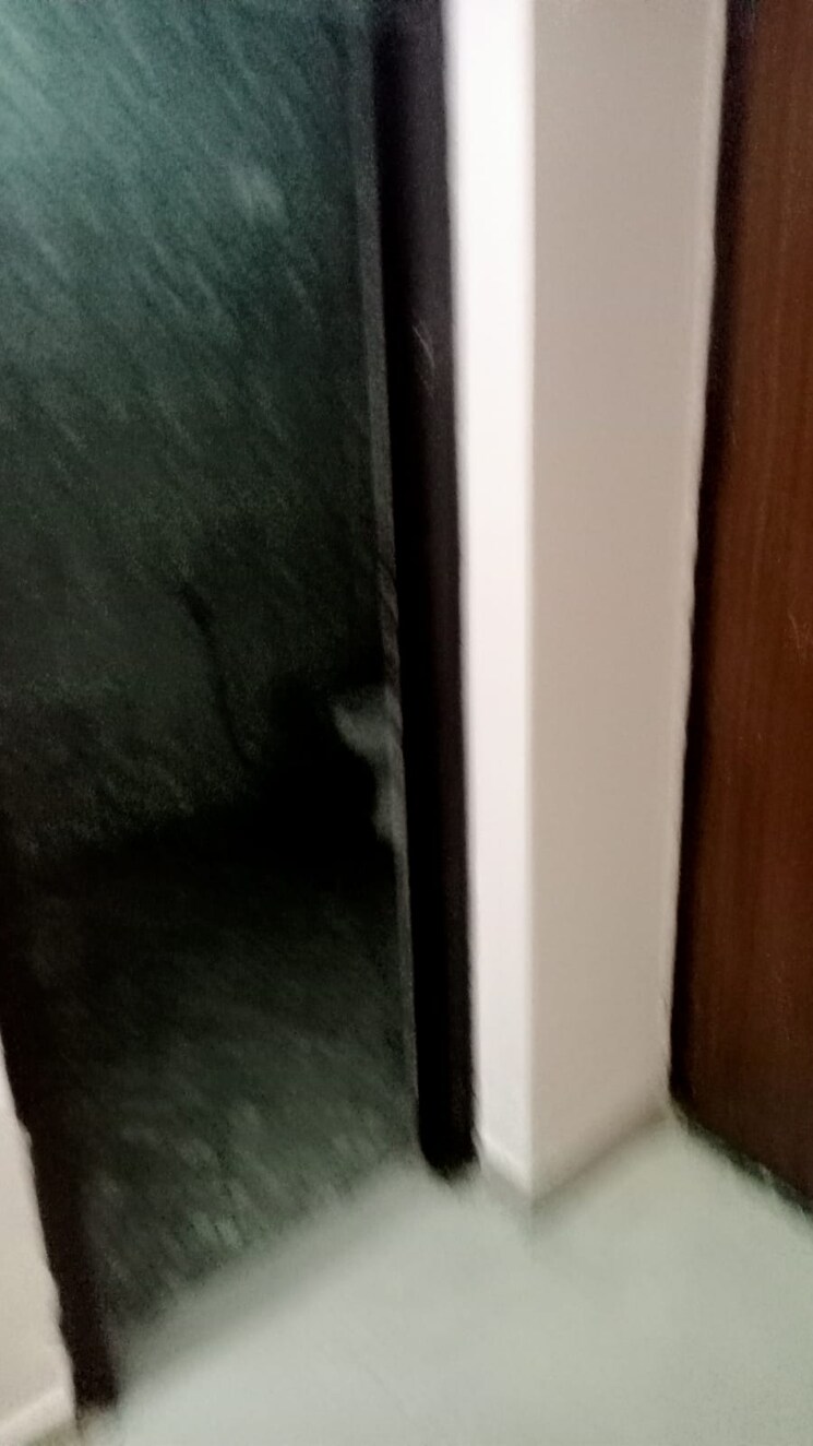 undefined, saya-villa 2 Bedroom 100 Sq.Yd. Builder Floor In Indrapuram Ghaziabad 9650693