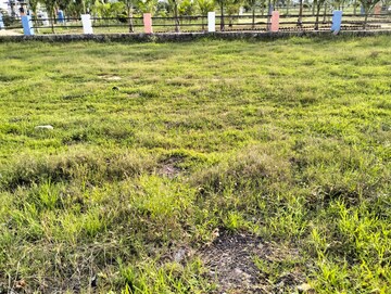  Plot – Exterior View View at Mansanpalle - for Sale