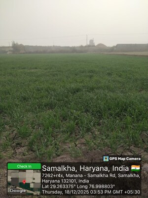  Land For Sale in Samalkha