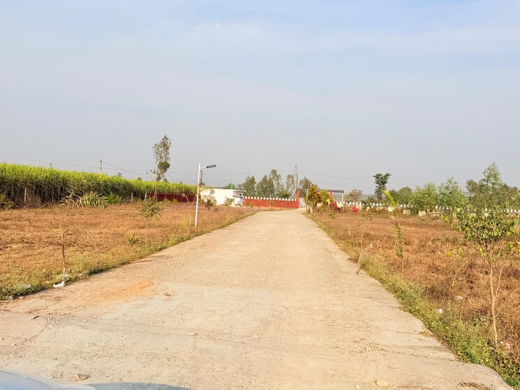 undefined, badripur  100 Sq.Yd. Plot In Badripur Dehradun 9651413