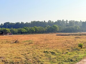  Plot For Sale in Badripur