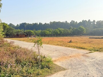 Plot Area in  Plot at Badripur – for Sale