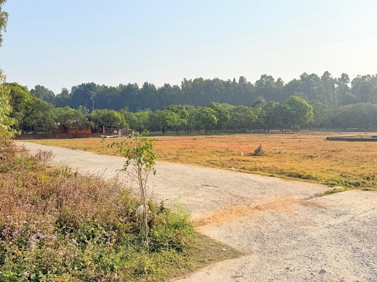 undefined, badripur  100 Sq.Yd. Plot In Badripur Dehradun 9651413