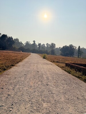 Plot Area in  Plot at Badripur – for Sale