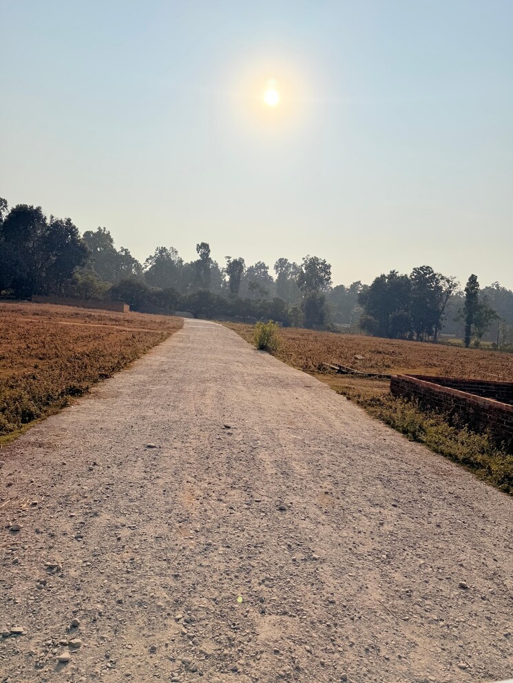 undefined, badripur  100 Sq.Yd. Plot In Badripur Dehradun 9651413