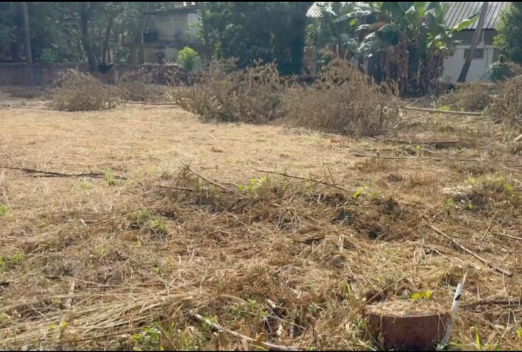 undefined, kuriachira  7623 Sq.Ft. Plot In Kuriachira Thrissur 9651422