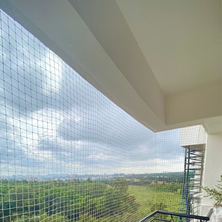 Swimming Pool, puravankara-purva-venezia 3 Bedroom 1610 Sq.Ft. Apartment In Vignana Kendra Bangalore 9651429