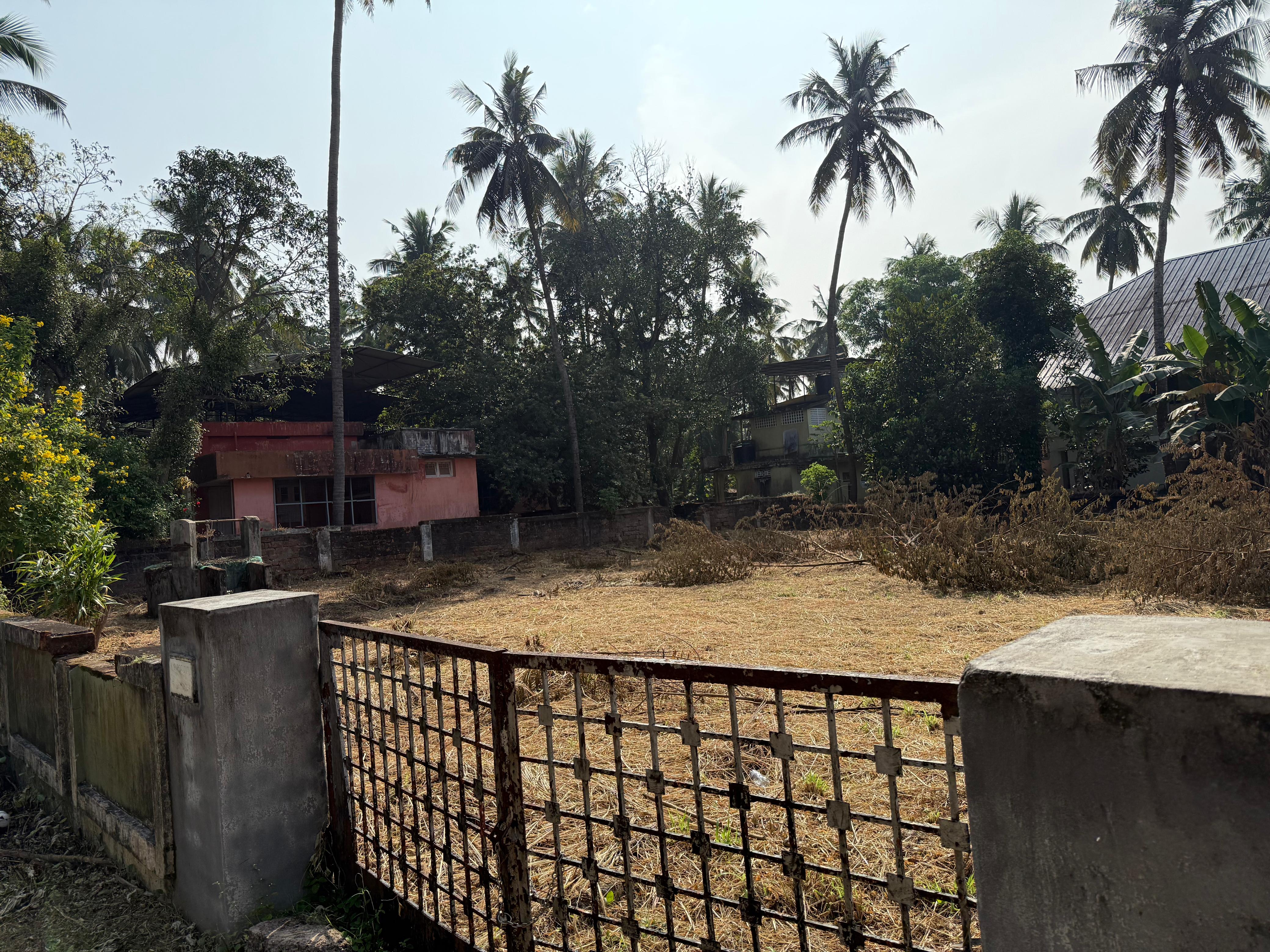 Plot For Sale in Kuriachira