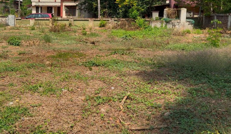 undefined, kuriachira  7623 Sq.Ft. Plot In Kuriachira Thrissur 9651422