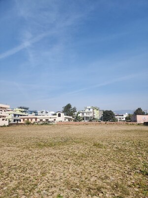 Plot Area in  Plot at Badripur – for Sale