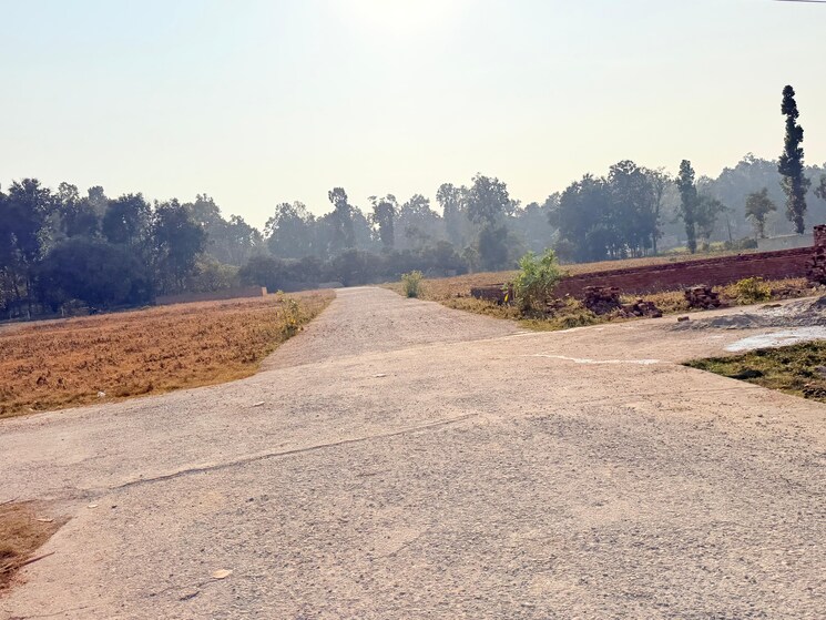 undefined, badripur  200 Sq.Yd. Plot In Badripur Dehradun 9651440