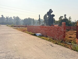 Plot Area in  Plot at Badripur – for Sale