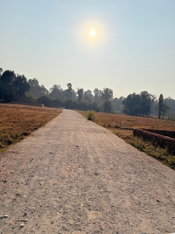 Plot Area in  Plot at Badripur – for Sale