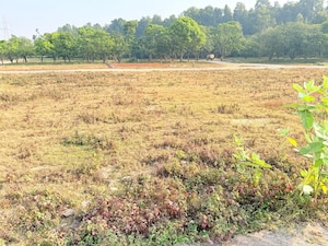 Plot Area in  Plot at Badripur – for Sale