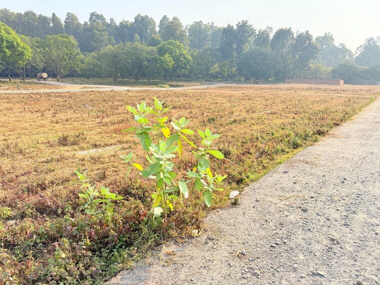 undefined, badripur  200 Sq.Yd. Plot In Badripur Dehradun 9651440