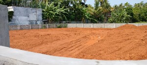 Plot Area in  Plot at Avenue Road – for Sale