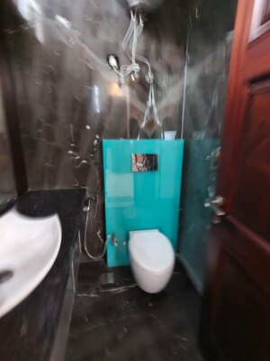 Bathroom in 3 BHK Builder Floor at Vasant Vihar – for Rent