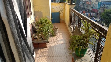 Balcony in 3 BHK Builder Floor at Vaishali Sector 4 – for Sale
