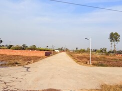 Plot For Sale in Badripur