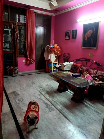 Living Room in 3 BHK Builder Floor at Palam Extension – for Rent