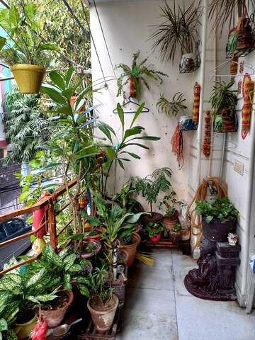 Balcony in 3 BHK Builder Floor at Palam Extension – for Rent