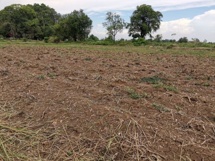 Cover Image, mullanpur  360 Sq.Yd. Plot In Mullanpur Mohali 9652920