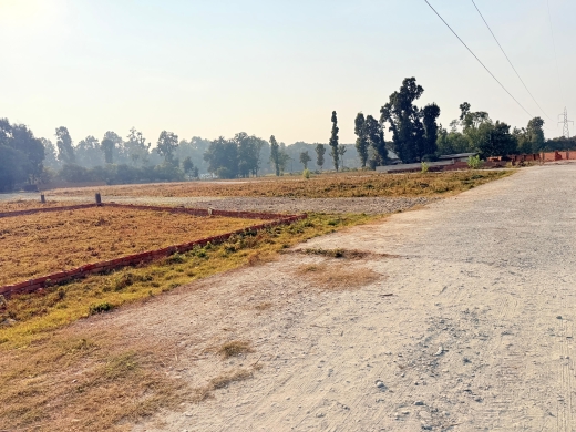 Plot For Sale in Badripur